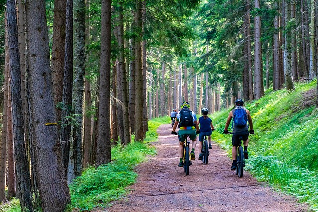 Scieżki rowerowe a rowery enduro