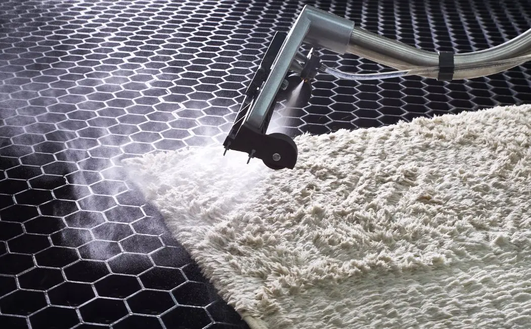 Odplamianie dywanów - Sekret idealnej czystości