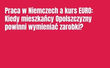 Obraz do artykułu: Praca w Niemczech a kurs euro: Kiedy mieszkańcy Opolszczyzny powinni wymieniać zarobki?