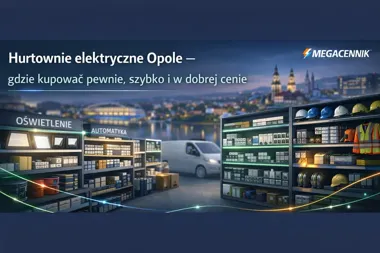 Regały z artykułami elektrycznymi: oświetlenie, kable, kaski i kamizelki, samochód dostawczy na tle miasta.