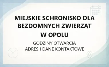Miejskie Schronisko dla Bezdomnych Zwierząt w Opolu - kontakt, godziny, informacje