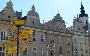 Magnolie wracają w nowej odsłonie i szukają kandydatów z całego powiatu