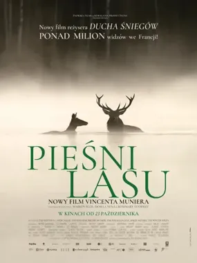 Grafika promocyjna wydarzenia Film „Pieśni lasu” w Kinie Meduza