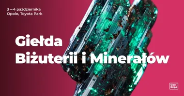 Grafika promocyjna wydarzenia Giełda Biżuterii, Minerałów i Skamieniałości w Toyota Park