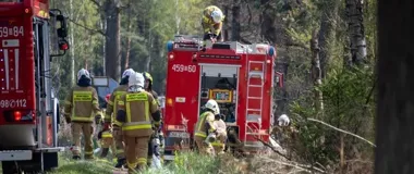Ogień z wyłuszczarni miał wejść do lasu - 110 ratowników w akcji