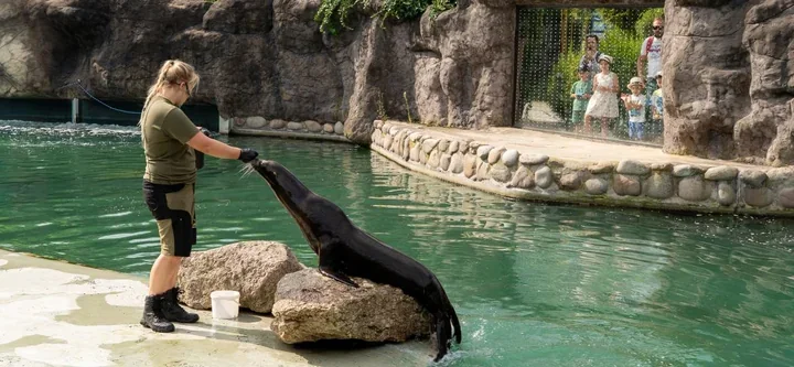 W opolskim zoo nie ma dwóch takich samych zwierząt. Opiekunowie znają ich nastroje