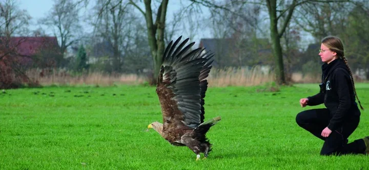Pod Opolem w ośrodku AVI ratują dzikie zwierzęta – codzienność, historie i potrzeby