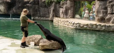 W opolskim zoo nie ma dwóch takich samych zwierząt. Opiekunowie znają ich nastroje
