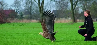 Pod Opolem w ośrodku AVI ratują dzikie zwierzęta – codzienność, historie i potrzeby