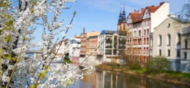 Opole szykuje weekend pełen literatury, teatru i sportowych emocji