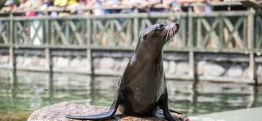 Zoo Opole obniża ceny biletów. W weekendy wracają dodatkowe pokazy
