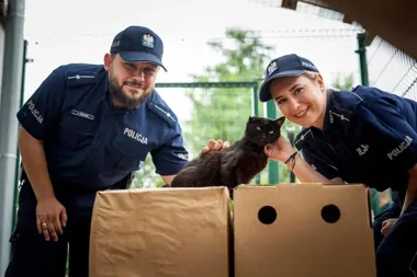 Mundur i schronisko - policjanci pomagają zwierzętom z Kędzierzyna-Koźla