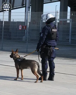 Narkotyki przy sektorze gości - policja zatrzymała dwóch pseudokibiców w Opolu