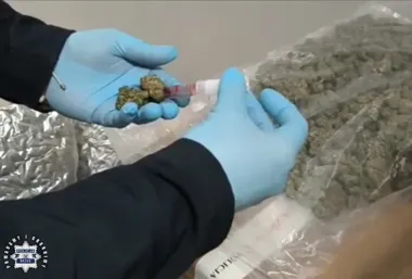 Paleta zamiast komponentów - ponad 64 kg marihuany odkryto w brzeskim zakładzie