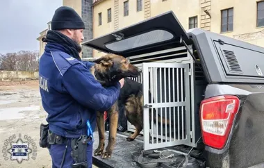 Szkolenie psów patrolowo-tropiących w Brzegu zmienia oblicze interwencji