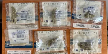 Sześć przezroczystych torebek z suszem roślinnym leży na drewnianej powierzchni, każda opatrzona etykietą z napisami i kodami kreskowymi.