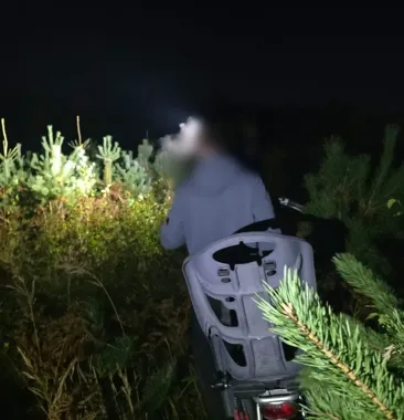 Rozmyta postać z latarką na głowie w nocy wśród młodych świerków, z tyłu widoczny fotelik rowerowy.