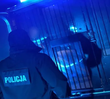 Funkcjonariusz policji w kurtce z napisem „POLICJA” stoi przy zabezpieczonej bramie oświetlonej niebieskim światłem.