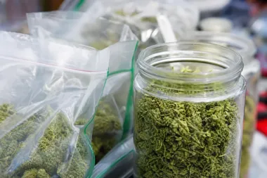 Po zgłoszeniu kradzieży perfum policjanci znaleźli w mieszkaniu marihuanę i MDMA