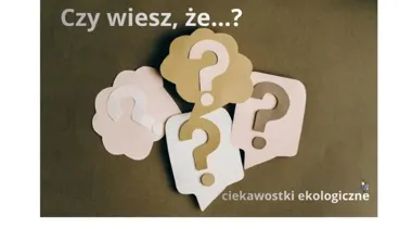 Komary w domu? Te proste sposoby mogą je odstraszyć