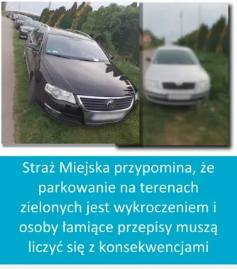 W Opolu po meczu auta wylądowały na trawnikach - straż zapowiada mandaty